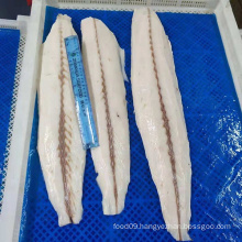 Frozen Rough Skin Oilfish Fillet Skinless (Ruvettus Pretiosus)